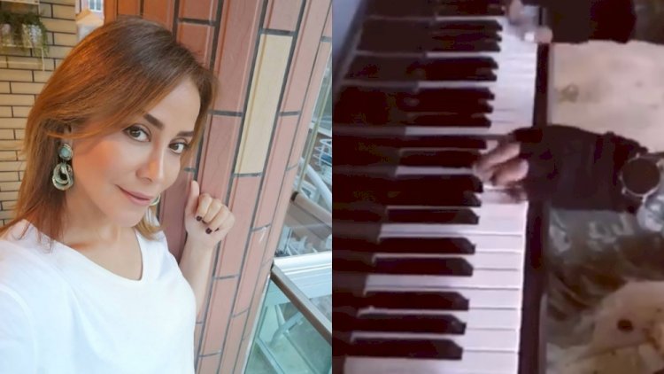    “Pulunun olmağı, yüksəlməyin önəmli deyil“   - İradə İbrahimova