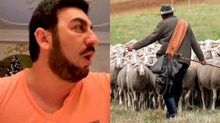    Tolik bu çobanı axtarır   - Video