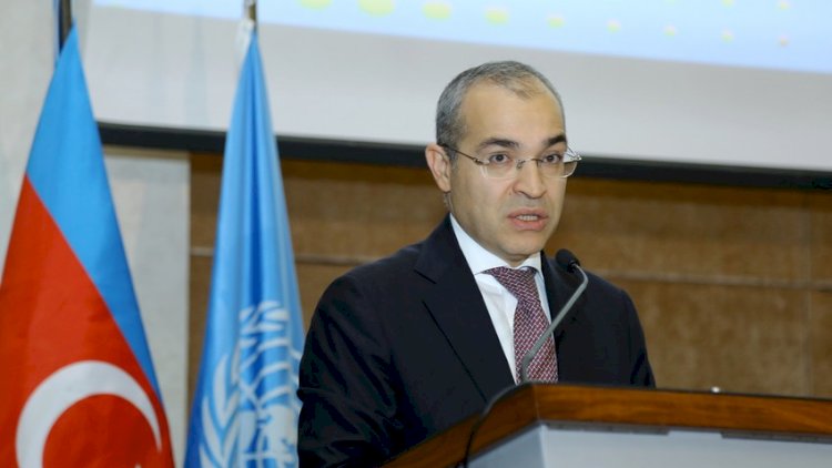    “Azərbaycan iqtisadiyyatı dayanıqlıq nümayiş etdirir” - Nazir   