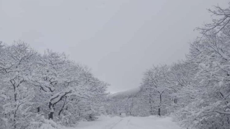    Bu gün Bakıya qar yağacaq: Hava kəskin soyudu   
