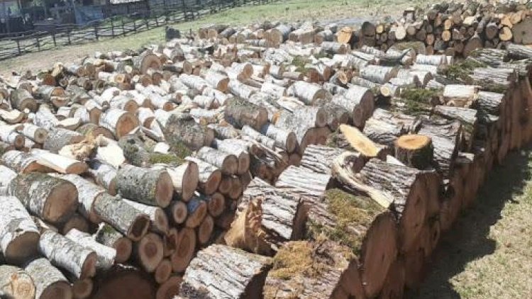    Nazirlik oduna ehtiyacı olanlara müraciət etdi   