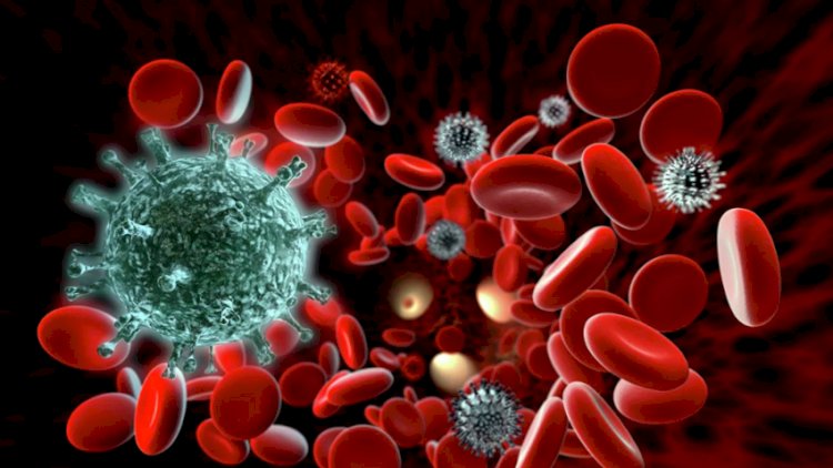    Pandemiya zamanı virusa qarşı ən güclü immunitet açıqlandı   