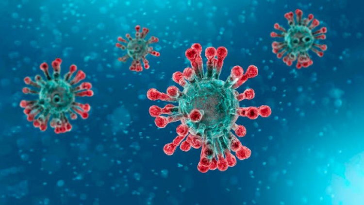    Mutasiyaya uğramış virus təhlükəlidir?   