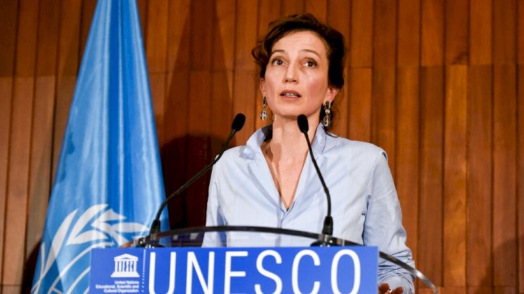    “10 milyon insan işsiz qalacaq“   - UNESCO