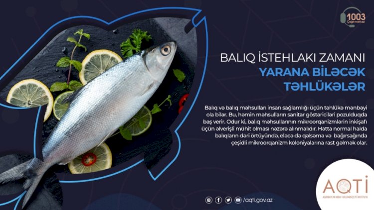    Balıq istehlakı zamanı yarana biləcək təhlükələr   