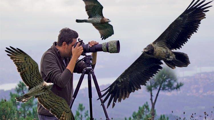    Quşları çəkən fotoqraf xəzinə tapdı - Foto   