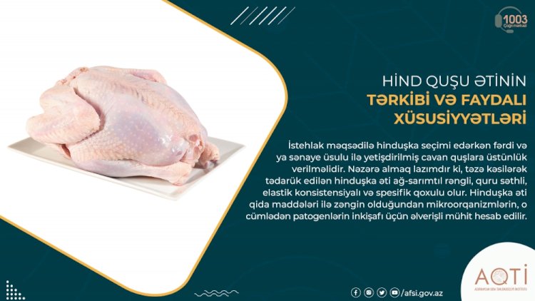    Hind quşu ətinin faydalı xüsusiyyətləri   