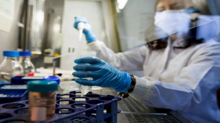    Gürcüstanda koronavirus qurbanlarının sayı 2 505 nəfərə çatdı   