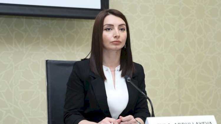    Vizadan azad etmədən danışmaq əsassızdır - Leyla Abdullayeva   