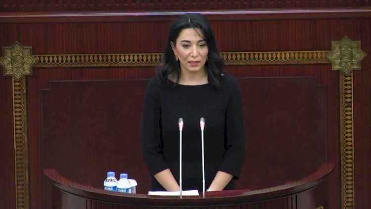    Ombudsman işğaldan azad olunan ərazidə saxlanılan Ermənistan vətəndaşı ilə görüşdü   
