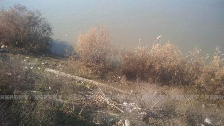    Kürdə suyun səviyyəsi 3,2 metr qalxıb - Fotolar   