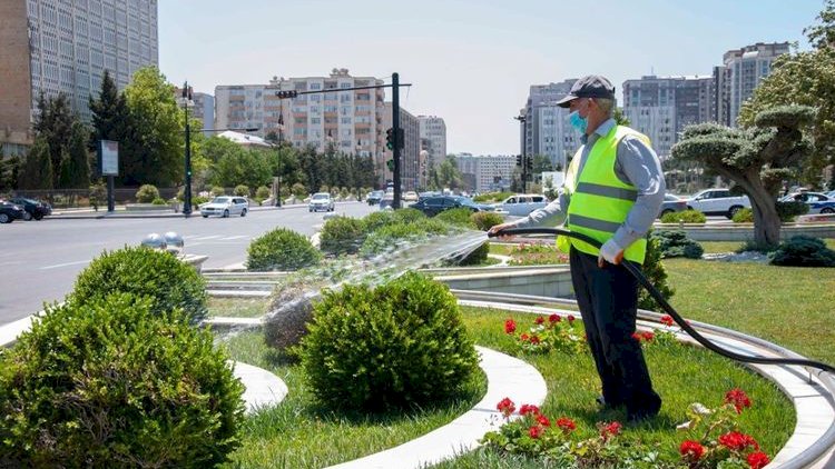    Qrunt suları yaşıllıqların suvarılması üçün istifadə olunacaq   