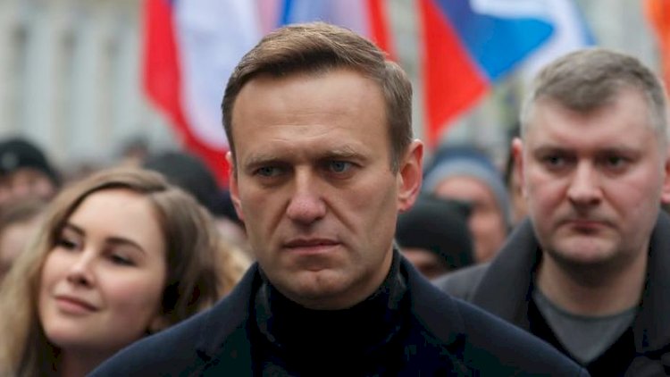    Aleksey Navalnı Rusiyaya qayıdır   