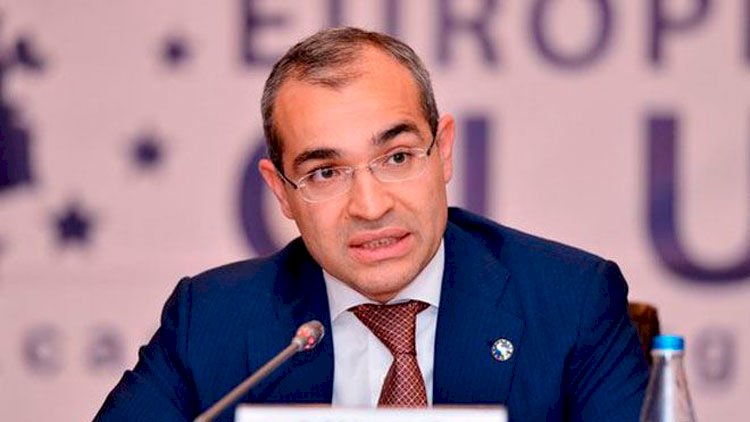    Qarabağın çiçəklənən regiona çevrilməsinə kömək edəcəyik - Nazir   