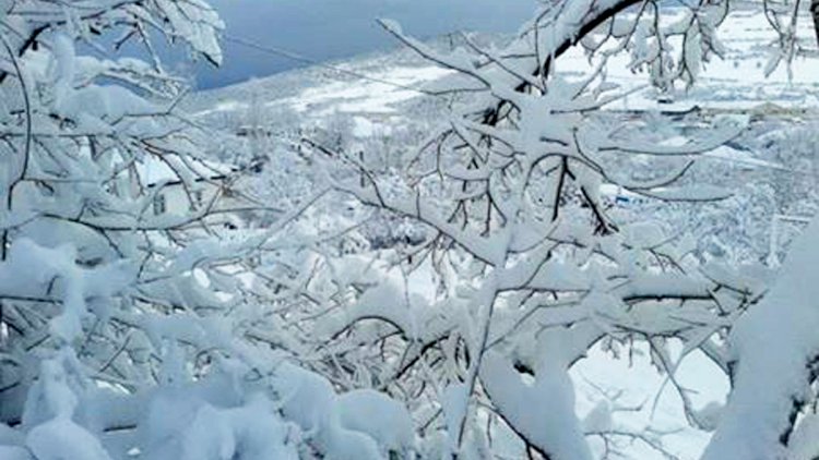    Azərbaycanda çovğun olacaq -   XƏBƏRDARLIQ