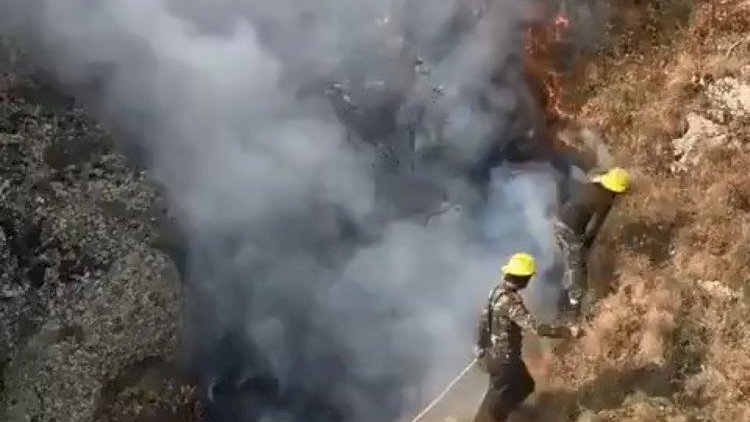    Hirkan Milli Parkında yanğın söndürüldü: 100 hektar ərazi yanıb   