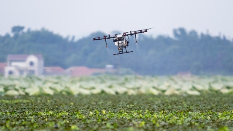    Azərbaycan yeni dronların istehsalına başlayıb   