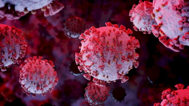    Yeni növ virus daşıyıcıları ətrafdakıları daha sürətlə yoluxdururlar   