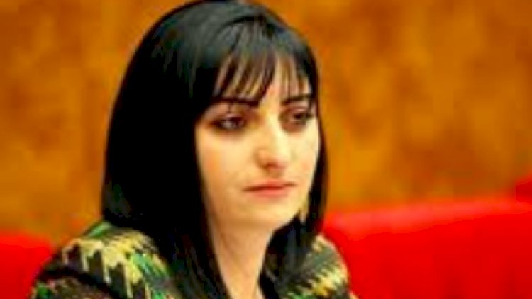    Erməni deputat Paşinyanın fraksiyasından istefa verdi   