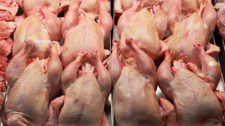    Çindən Rusiyaya ixrac edilən quş ətində koronavirus tapıldı   