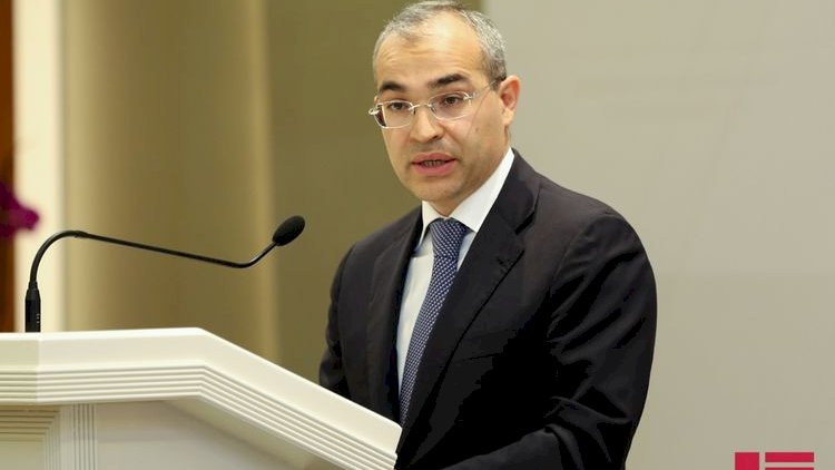    “Qarabağın dirçəlişi Qafqazda sabitliyi möhkəmləndirəcək“ -   Mikayıl Cabbarov