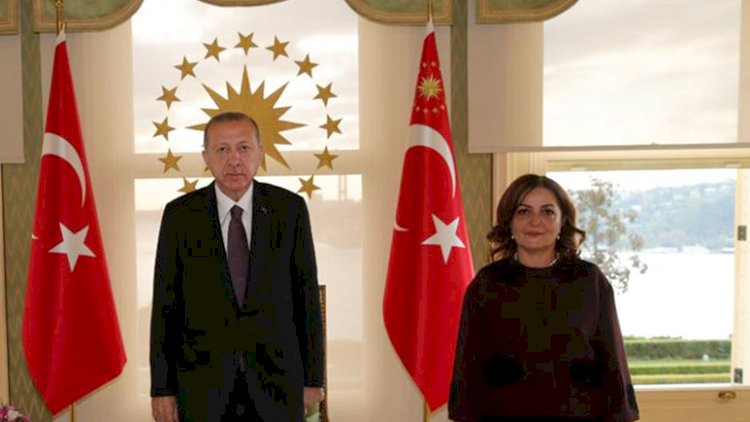    Ərdoğan azərbaycanlı professora vəzifə verdi   
