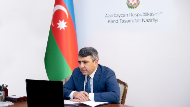    Azərbaycanda heyvanların Elektron Məlumat Bazası yaradılacaq   