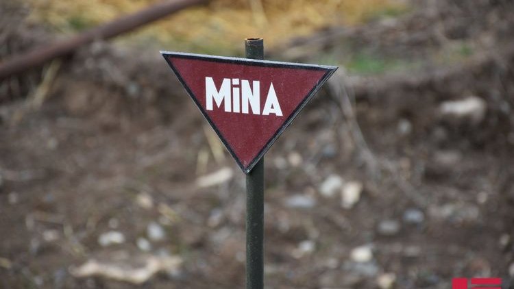    İndiyədək zərərsizləşdirilən mina və sursatların sayı açıqlandı   