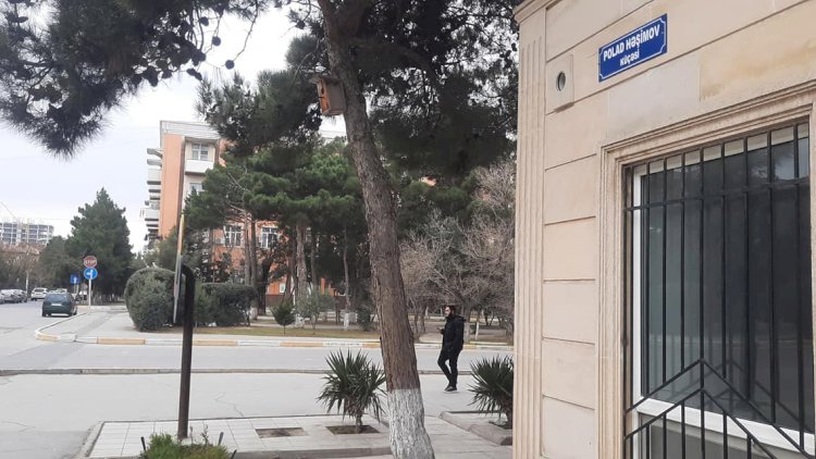   Sumqayıtda mərkəzi küçəyə Polad Həşimovun adı verildi - Foto   