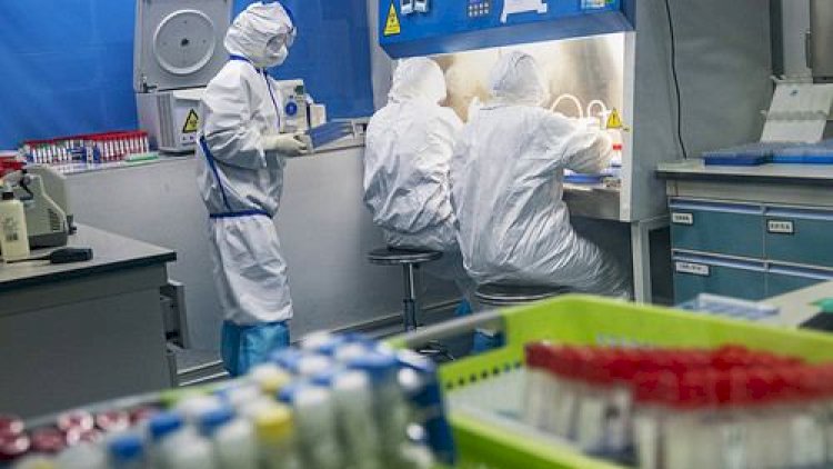    Dünyada koronavirusa yoluxanların sayı açıqlandı   