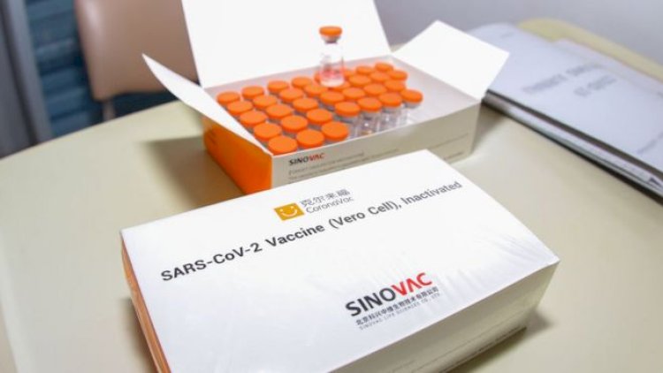    “CoronoVAC” vaksinin effektivliyi neçə faizdir? -   Həkim rəyi