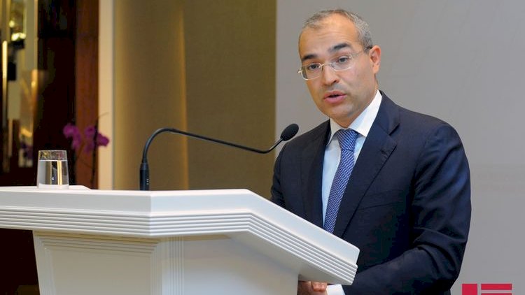    “Qarabağın resursları səmərəli dövriyyəyə daxil edilməlidir“ -   Nazir