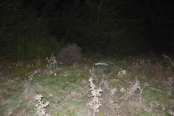 Meşədə faciə: Sevgilisi 20 yaşlı qızı boğdu  - Foto