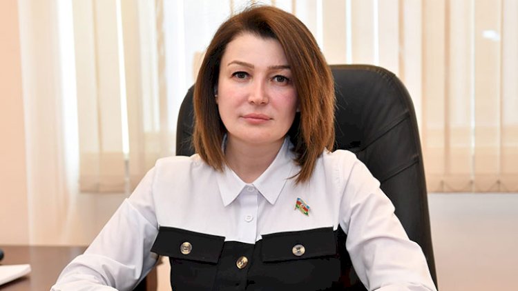    “Salyan xəstəxanasında rüşvət almaq adi hala çevrilib, “bazar”dır”” – Deputatdan sərt açıqlama   