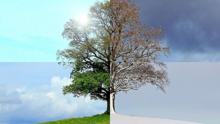    Alimlərdən koronavirusla bağlı nikbin proqnoz:   Aktivlik azalacaq