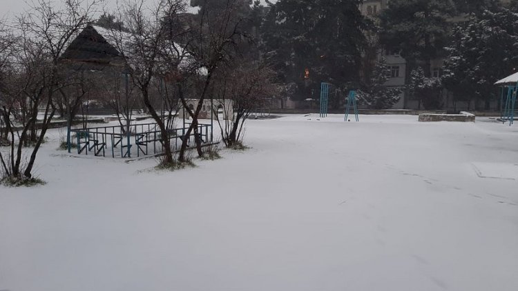    Bakıda 5 dərəcəyə yaxın şaxta olub -   FAKTİKİ HAVA