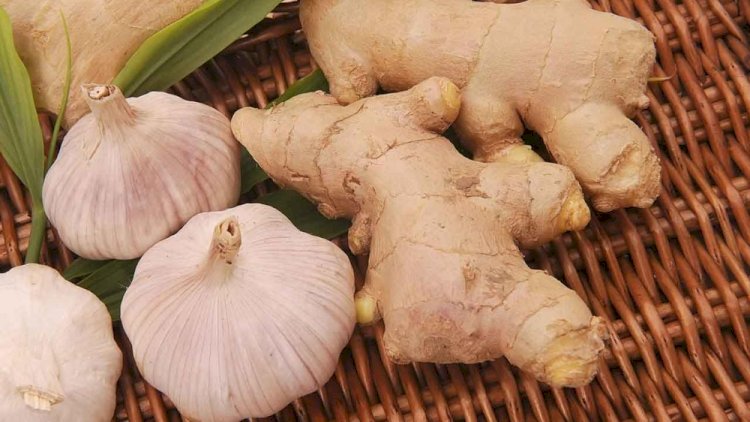    Zəncəfil və sarımsağın ömrü uzatdığı təsdiqləndi   