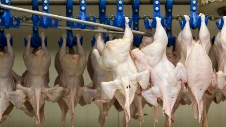    Daha iki ölkədən quş əti idxalı məhdudlaşdırıldı   