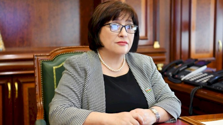    Milli Məclisin sədri müxalif deputatların fəaliyyətindən danışdı   