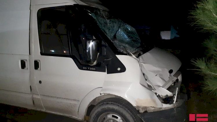    Balakəndə “Ford” atlını vurub öldürdü   