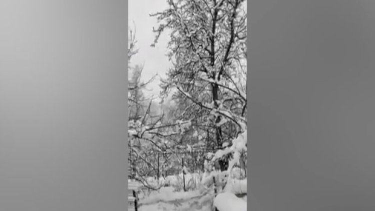    Hadrut ağ örpəyə büründü - Video   