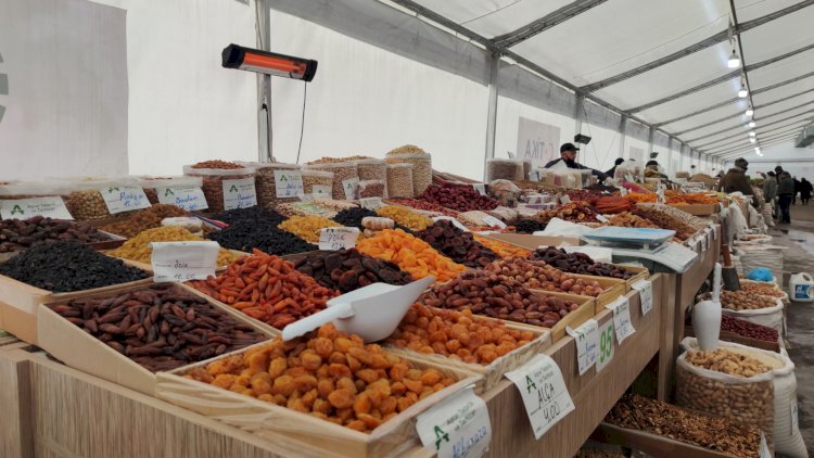    Bakı və Abşeronda Novruz yarmarkalarına start verildi -   ÜNVANLAR