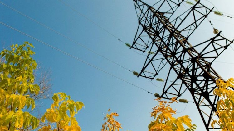    Ağdamın 8 kəndində elektrik enerjisi təsərrüfatı yenilənir -   Video