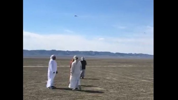    Ərəblər drona göyərçin bağlayıb şahinə yem etdilər -   Video