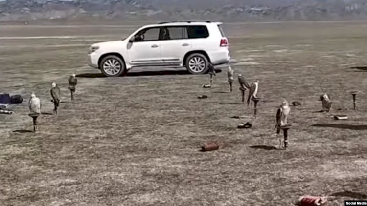    “Onların arxasında çox böyük oliqarxlar dayanır”   