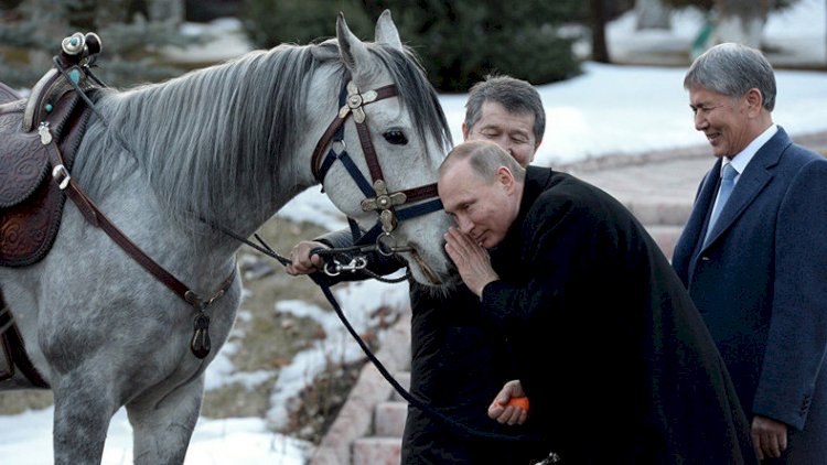    Putin atdan yıxıldı! - VİDEO   