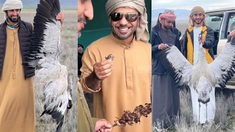    IDEA İB-dən ərəb turistlərin Azərbaycanda ov etməsinə münasibət   
