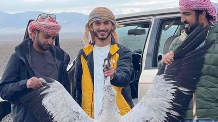    “Onlara ən yüksək cərimə tətbiq edilib”   
