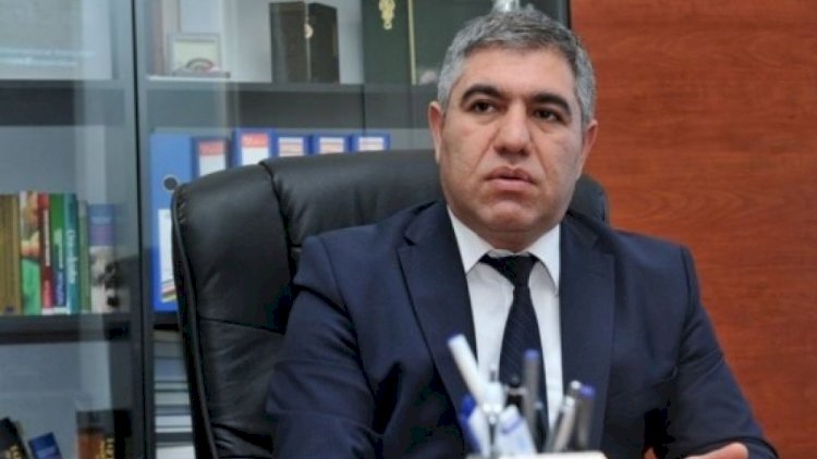    “Prezidentin qərarı ilə Müşahidə Şuralarının yaradılması...” - Deputat   