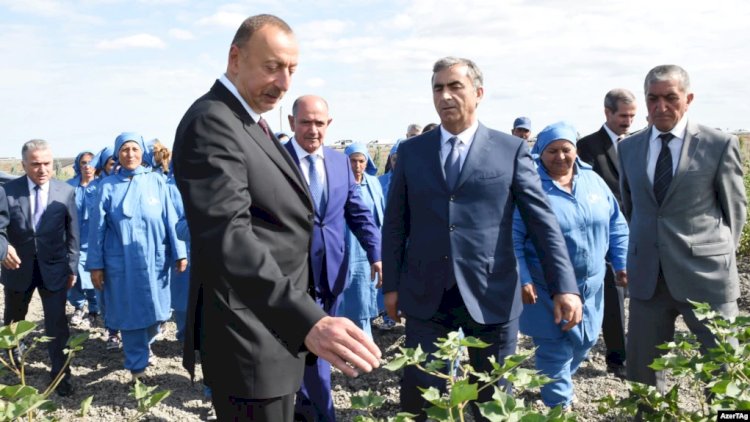    İcra başçısı prezidentə şikayət edən sakini cərimələtdi: Salyanda qəribə olay   